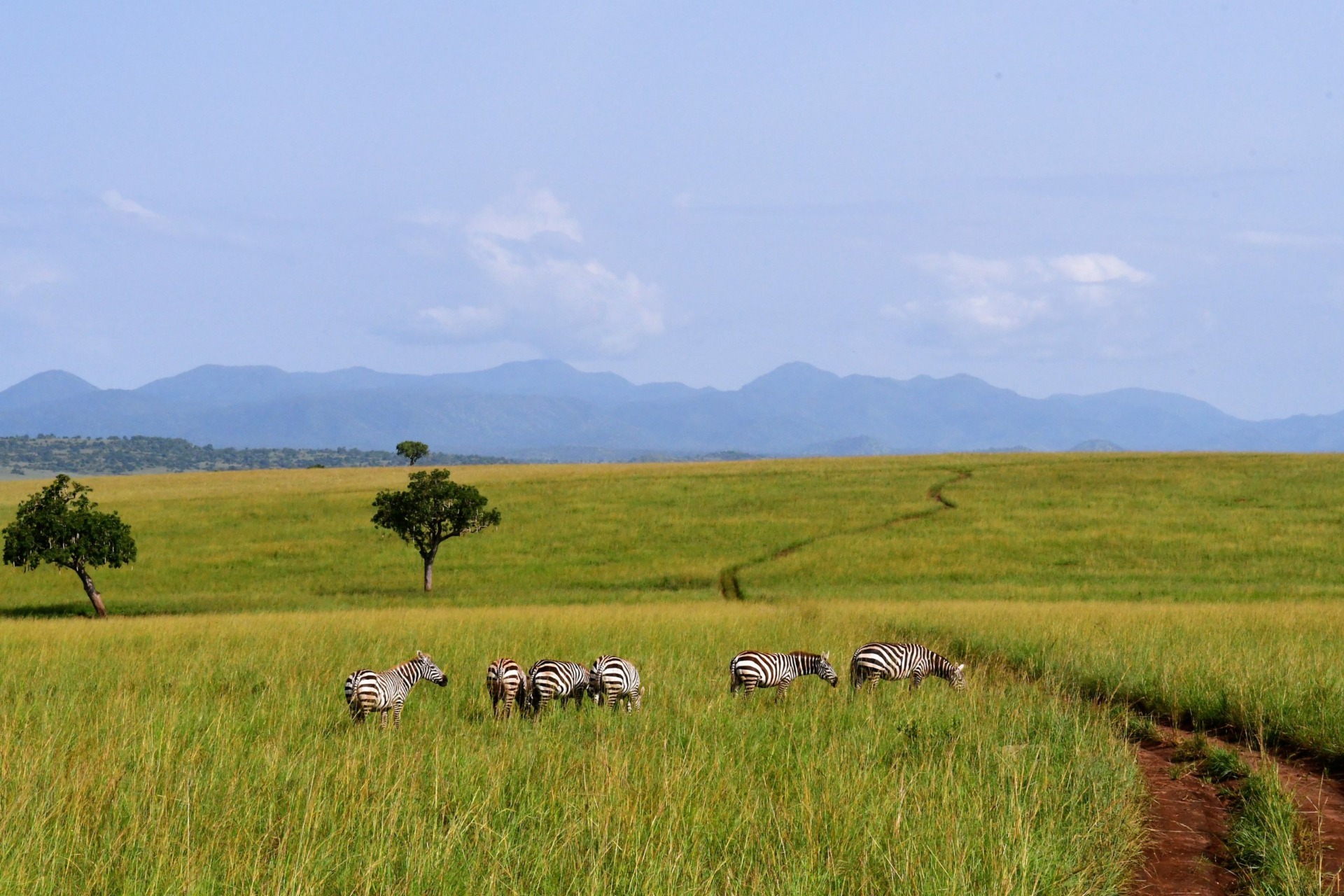 Kidepo Valley National Park