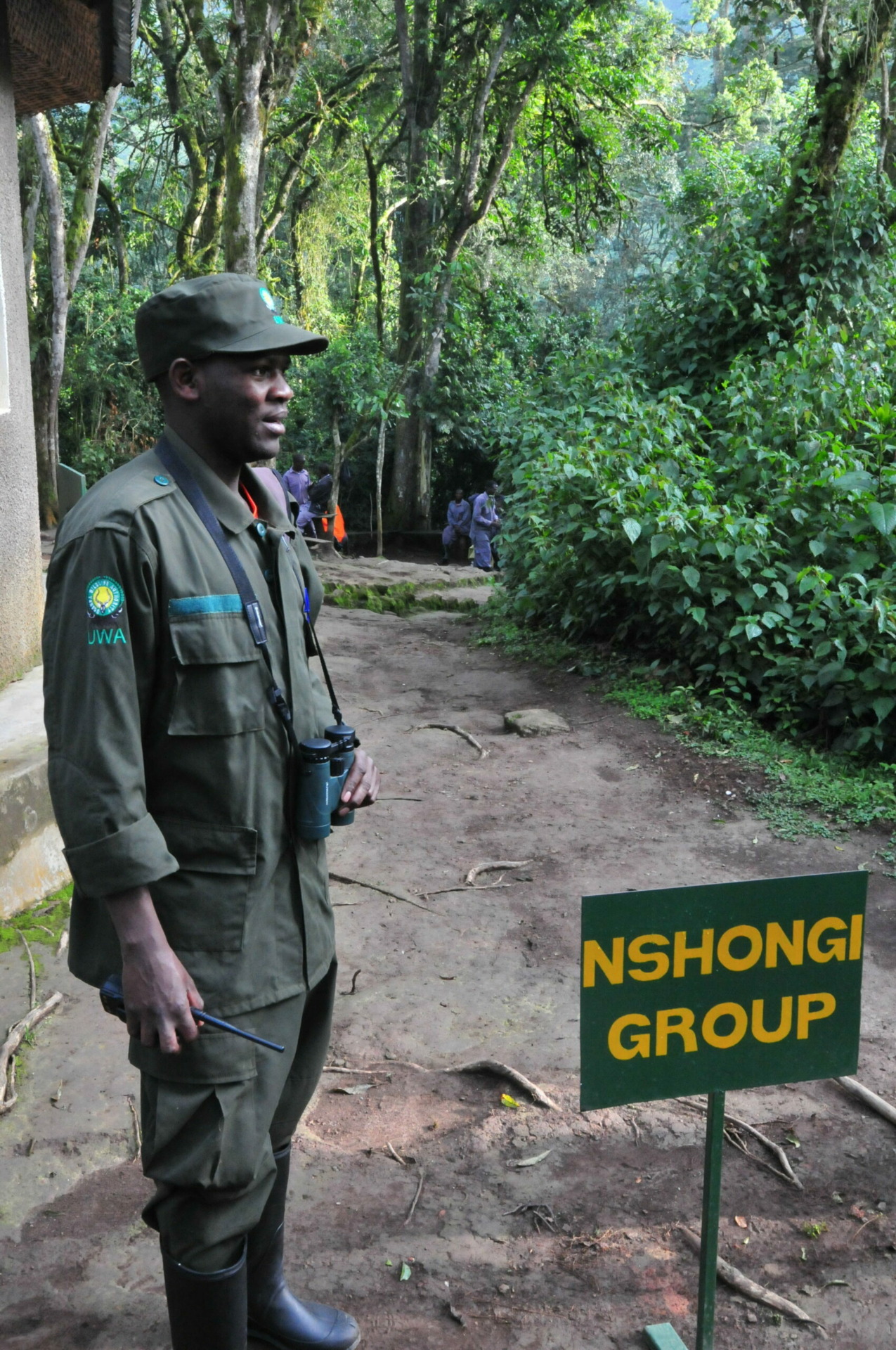 Gorilla Tracking in Oeganda