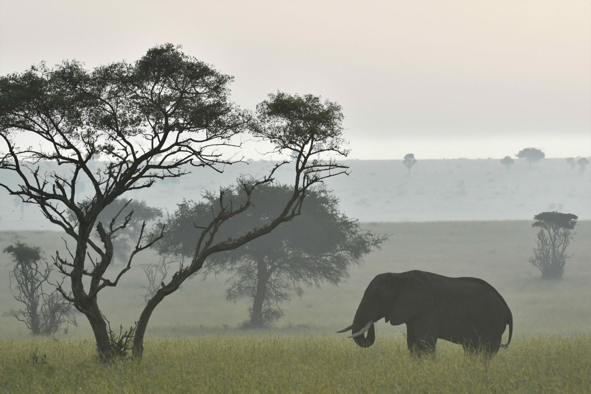 Murchison Falls National Park