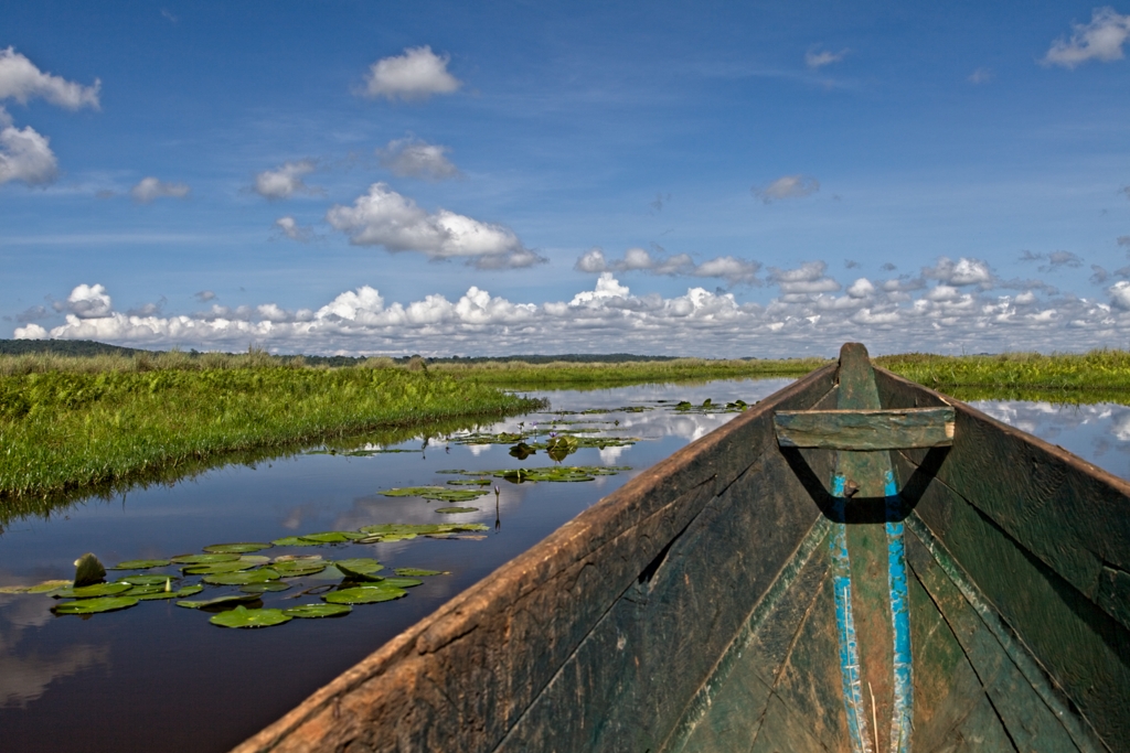 Kanotocht Mabamba Swamp