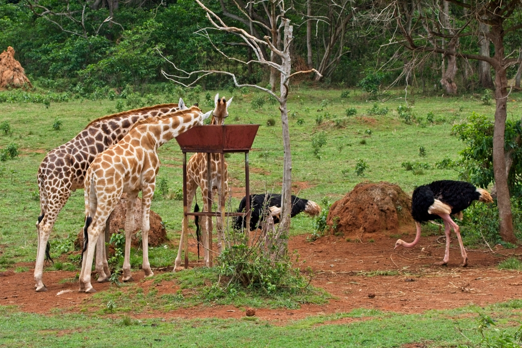 Keeper’s Guided Tour