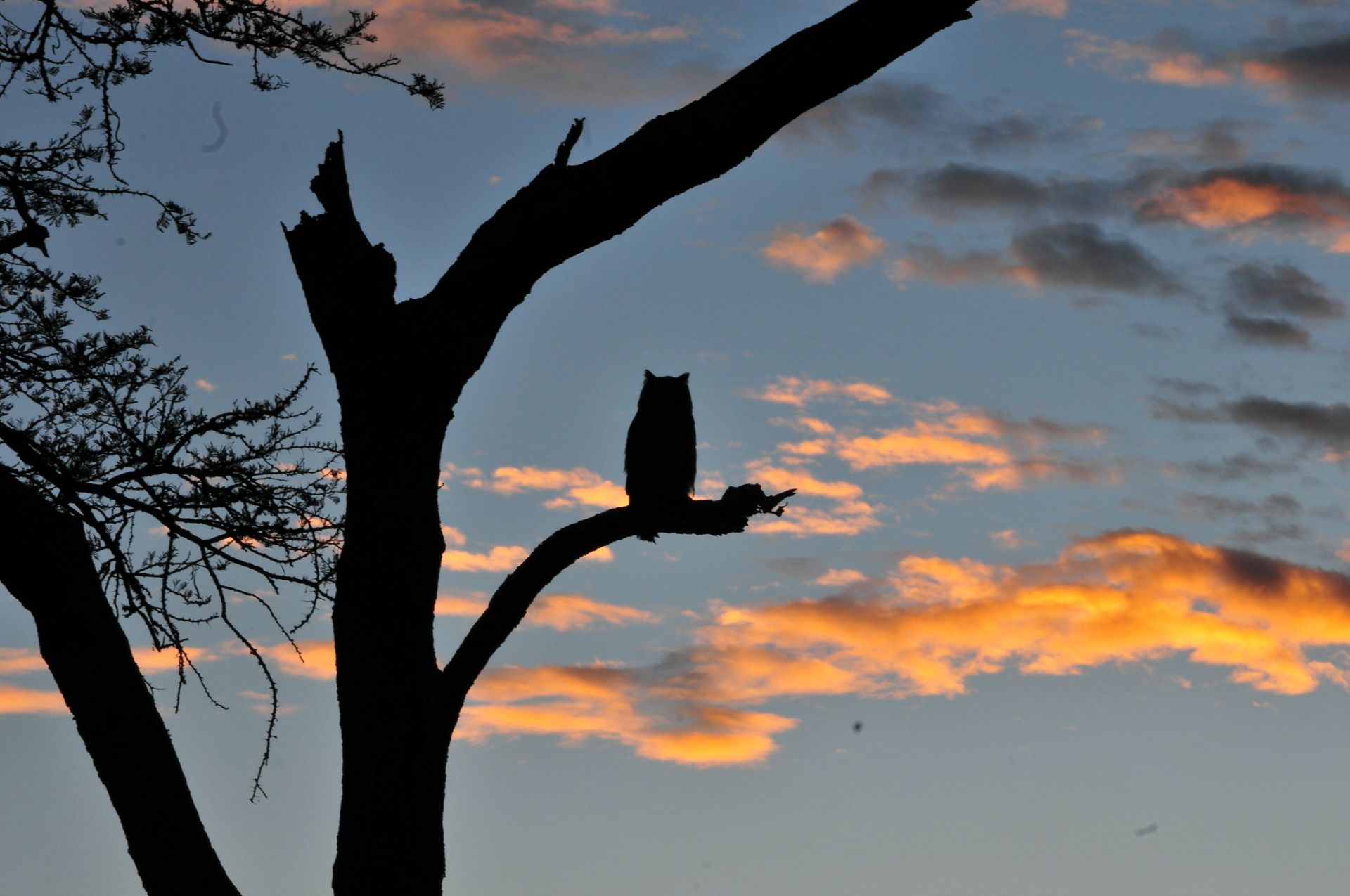 Lake Mburo National Park