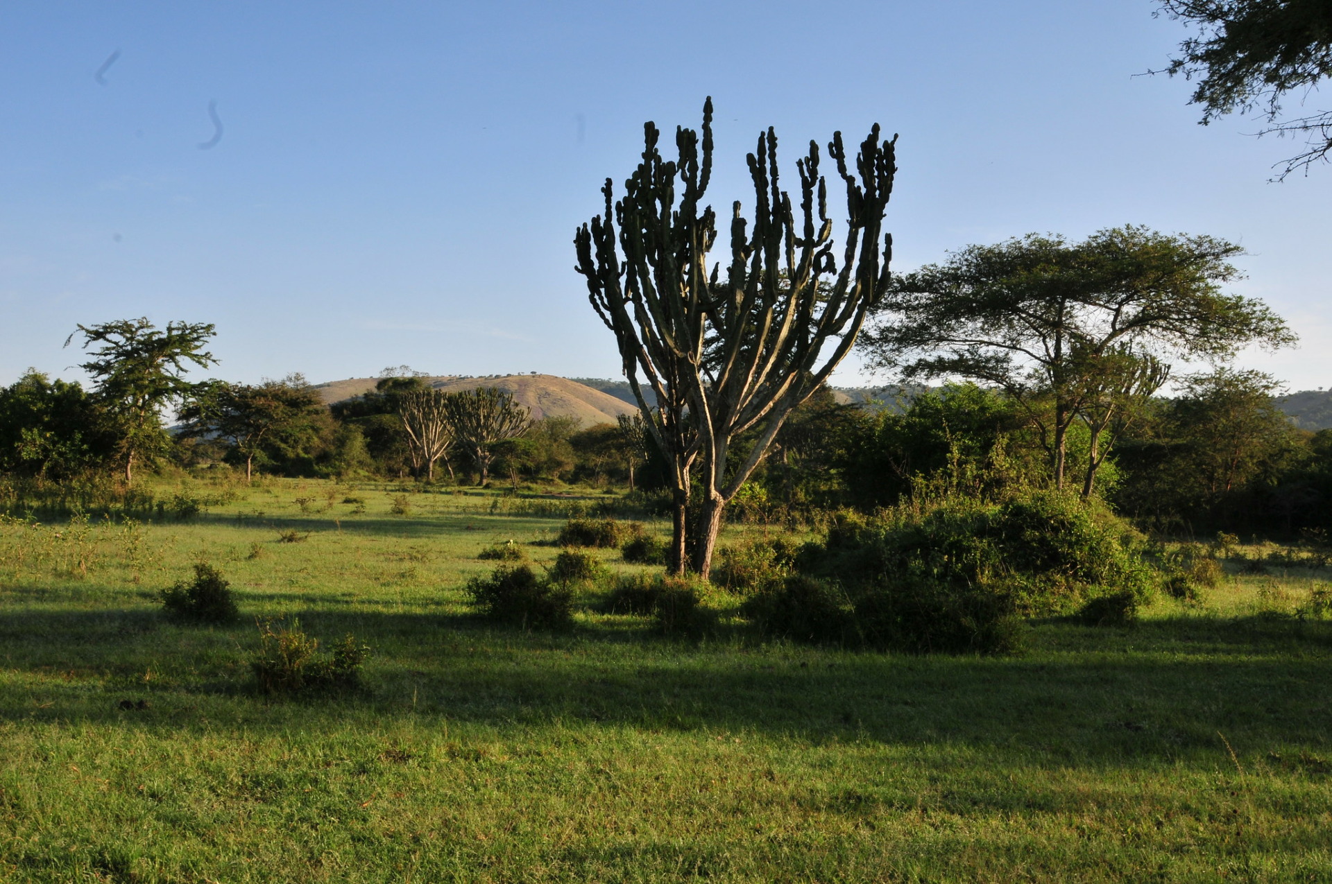 Lake Mburo National Park