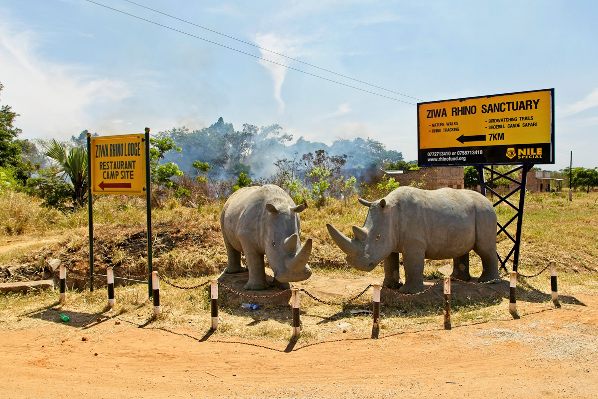 Aankondiging Ziwa Rhino Sanctuary